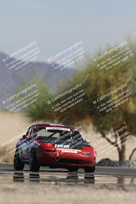 media/Oct-12-2025-Lucky Dog Racing (Sun) [[8adb5568ea]]/3-Third    Stint/4-Turn 4 (Tree of Life)/